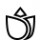 ענק - תוספת ₪100